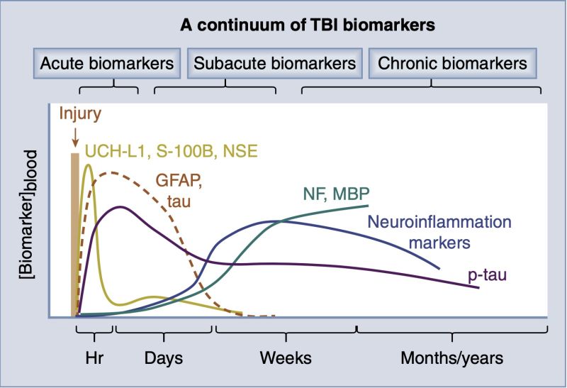 File:A continuum of TBI biomarkers.jpg